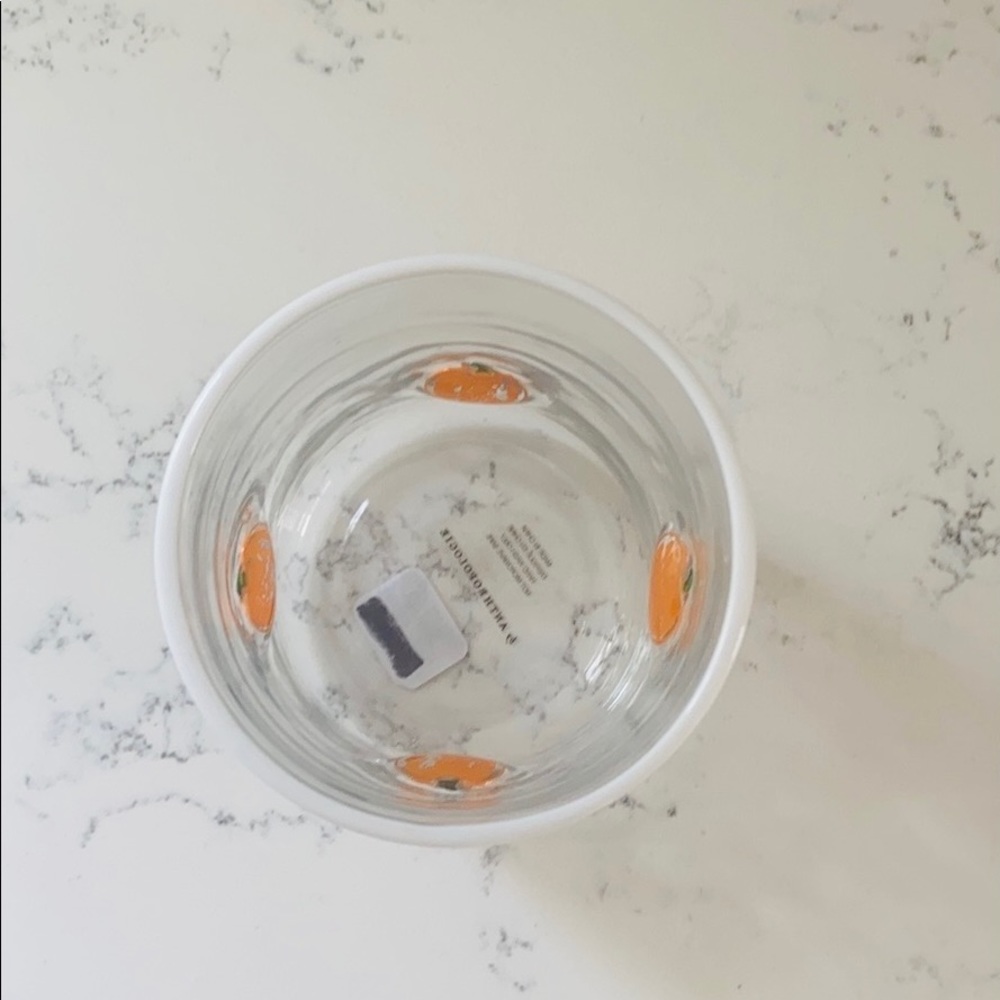 Anthropologie 🎃 Harvest Pumpkin Juice Glass. - Picture 8 of 15